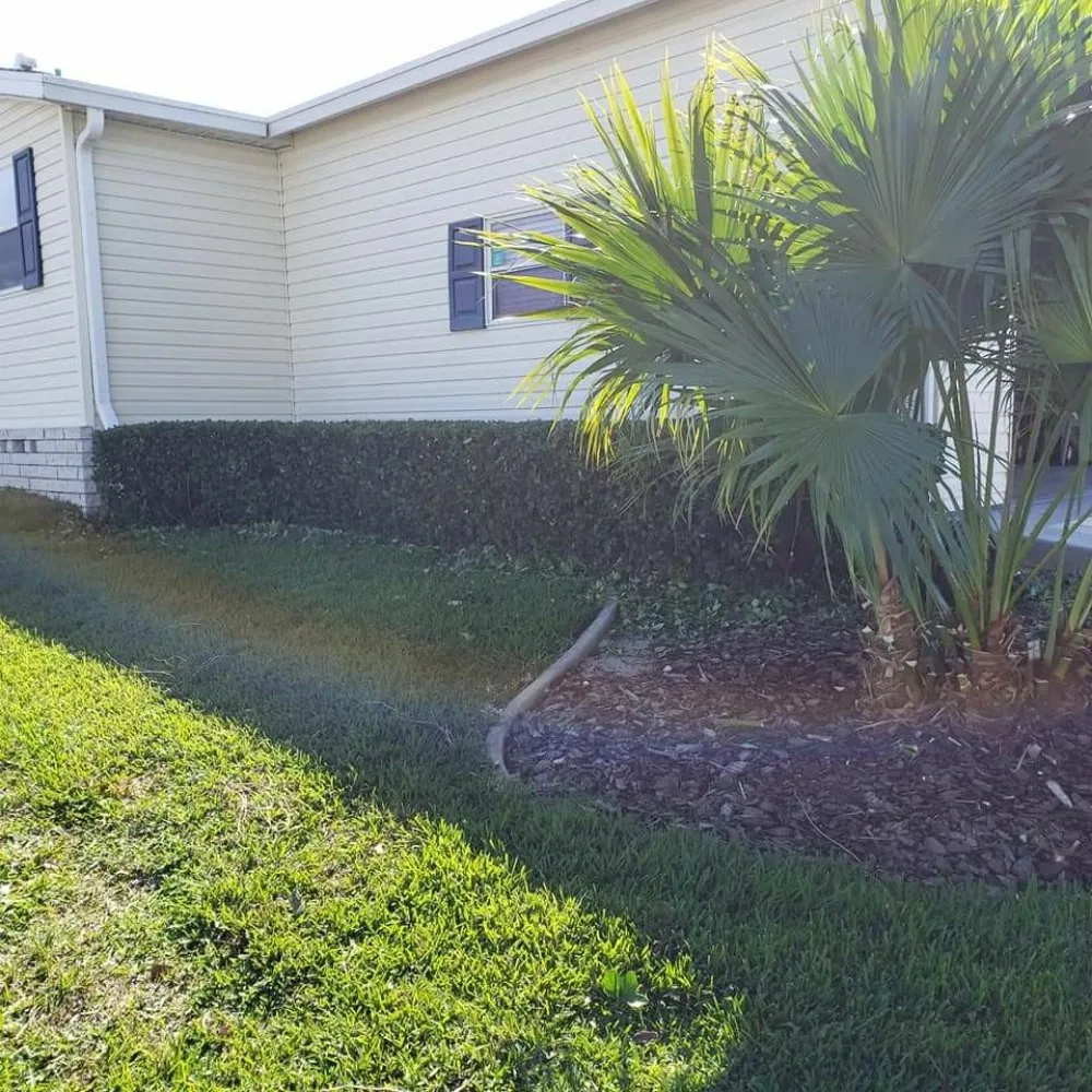 Affordable residential landscaping in Summerfield, FL by Clark Landscaping