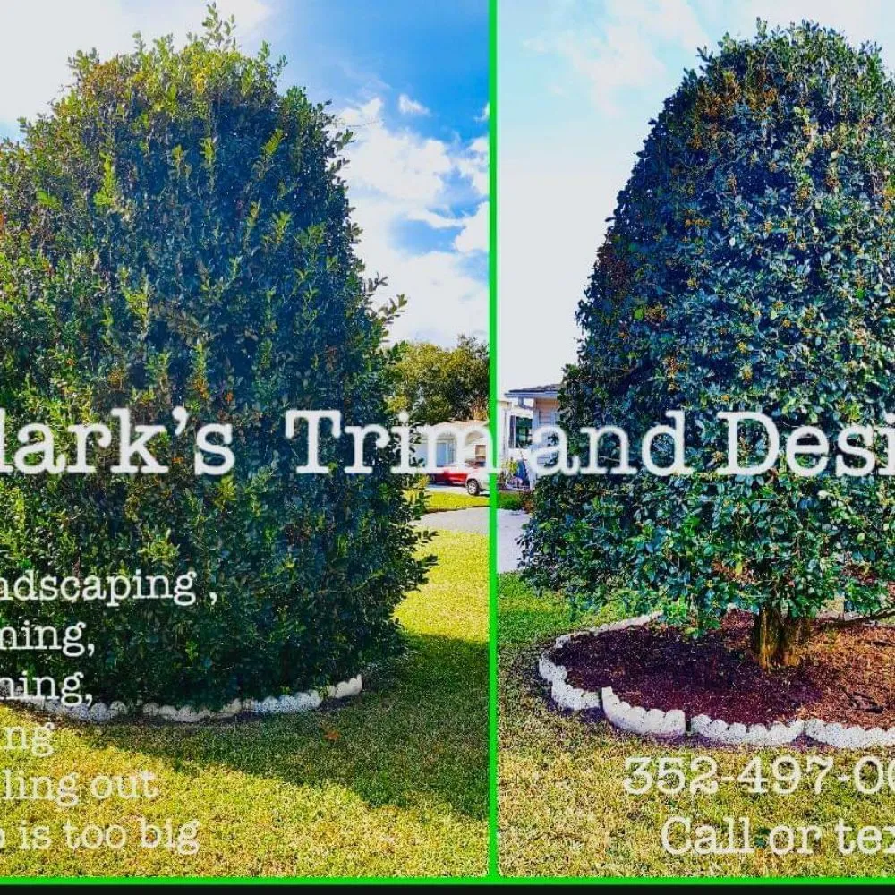 Trusted lawn care service experts serving Summerfield, FL - Clark Landscaping