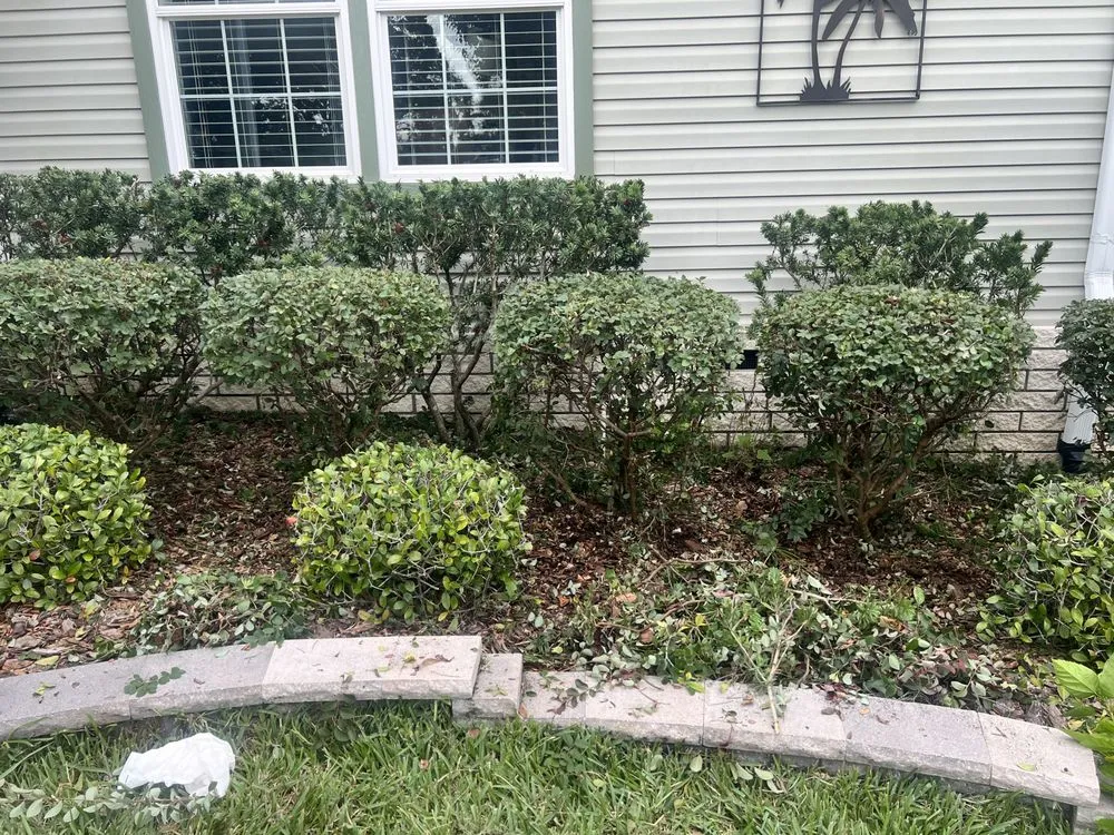 Professional lawn mowing service in Summerfield, FL by Clark Landscaping