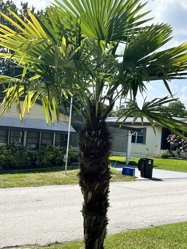 Top-rated garden landscaping for year-round maintenance across Summerfield, FL - Clark Landscaping