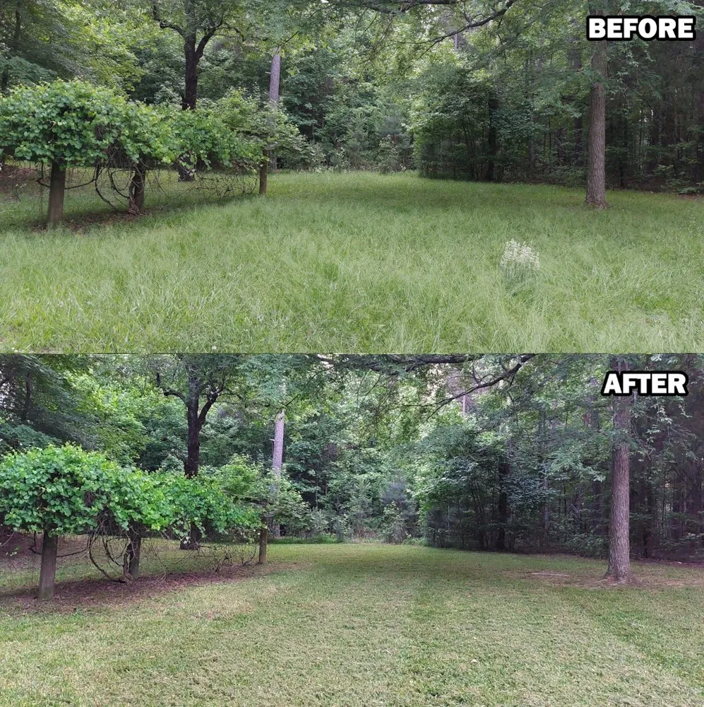 Reliable yard maintenance for homes in Liberty, NC by Clark Lawn Care