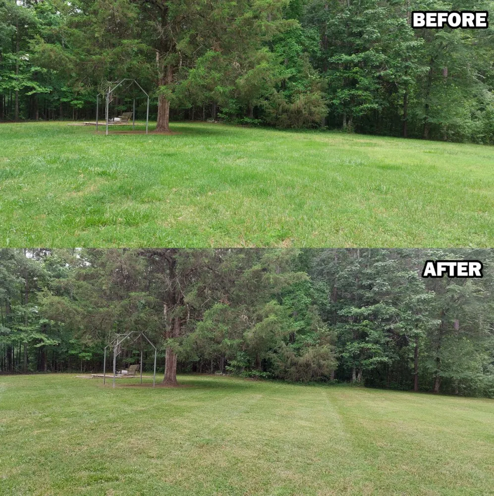 Custom garden landscaping experts serving Liberty, NC - Clark Lawn Care