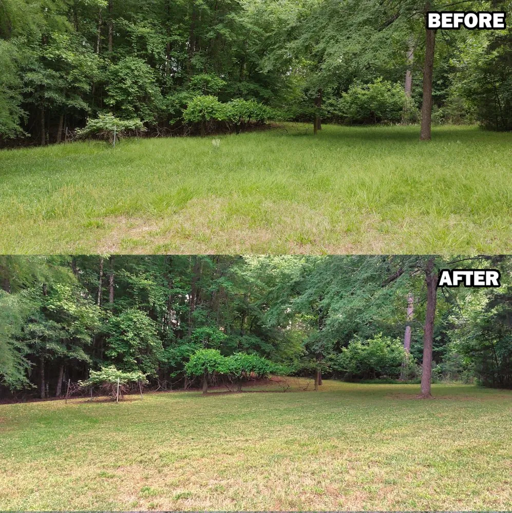 Expert lawn mowing service in Liberty, NC - Clark Lawn Care