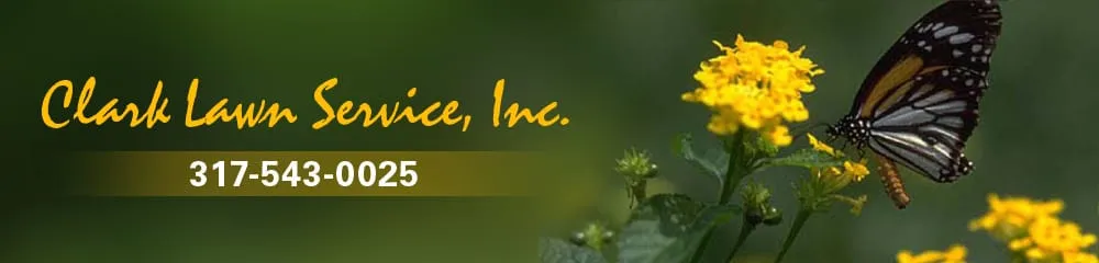 Professional residential landscaping in Indianapolis, IN by Clark Lawn Service