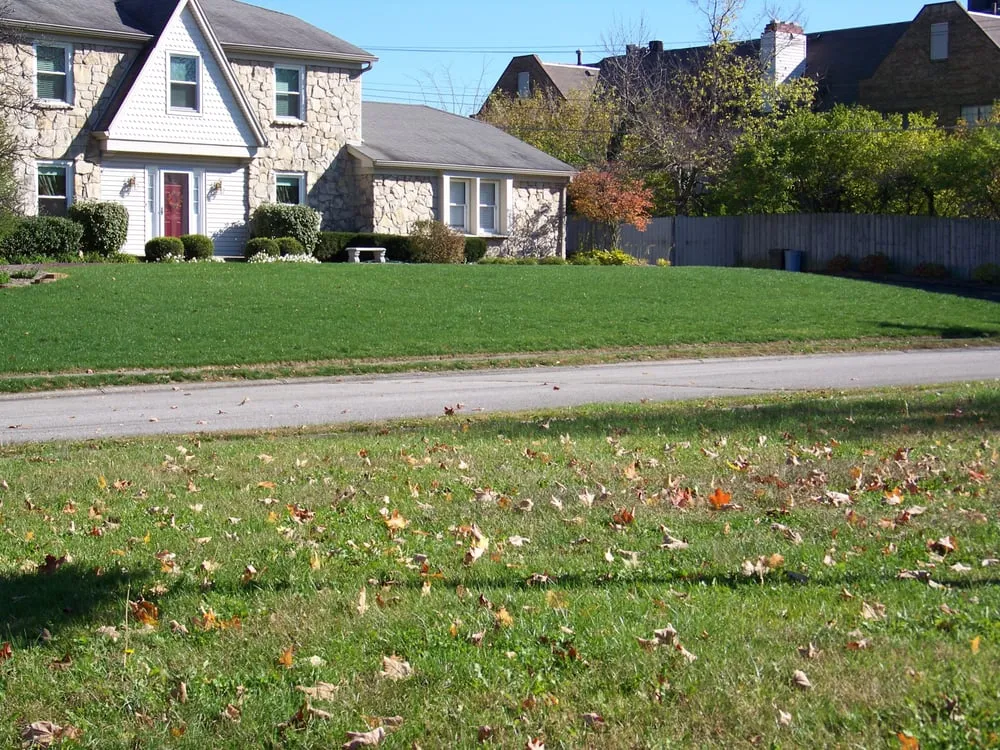 Affordable landscape design experts serving Indianapolis, IN - Clark Lawn Service