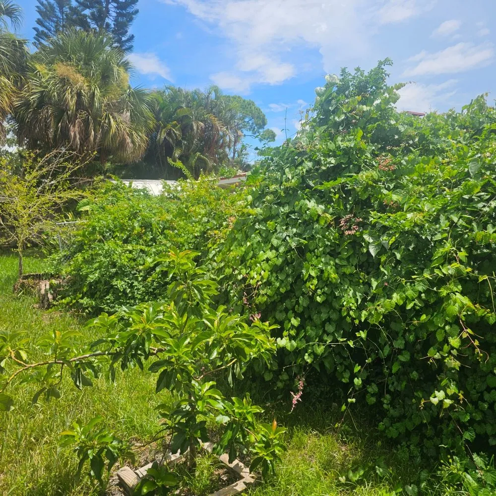 Professional outdoor landscaping in Palm Bay, FL - Clark Legacy Lawn Care