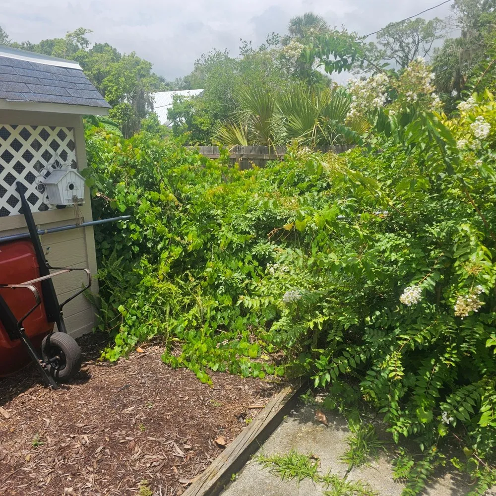 Custom yard maintenance for outdoor upgrades in Palm Bay, FL by Clark Legacy Lawn Care