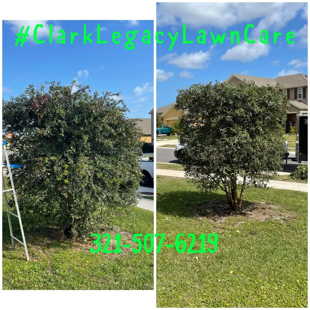 Affordable lawn mowing service in Palm Bay, FL - Clark Legacy Lawn Care