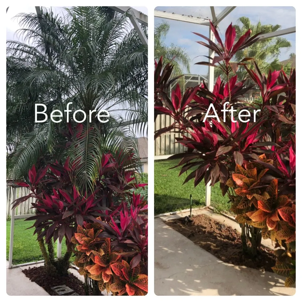 Affordable yard cleanup service in Orlando, FL by Clark Outdoor Services