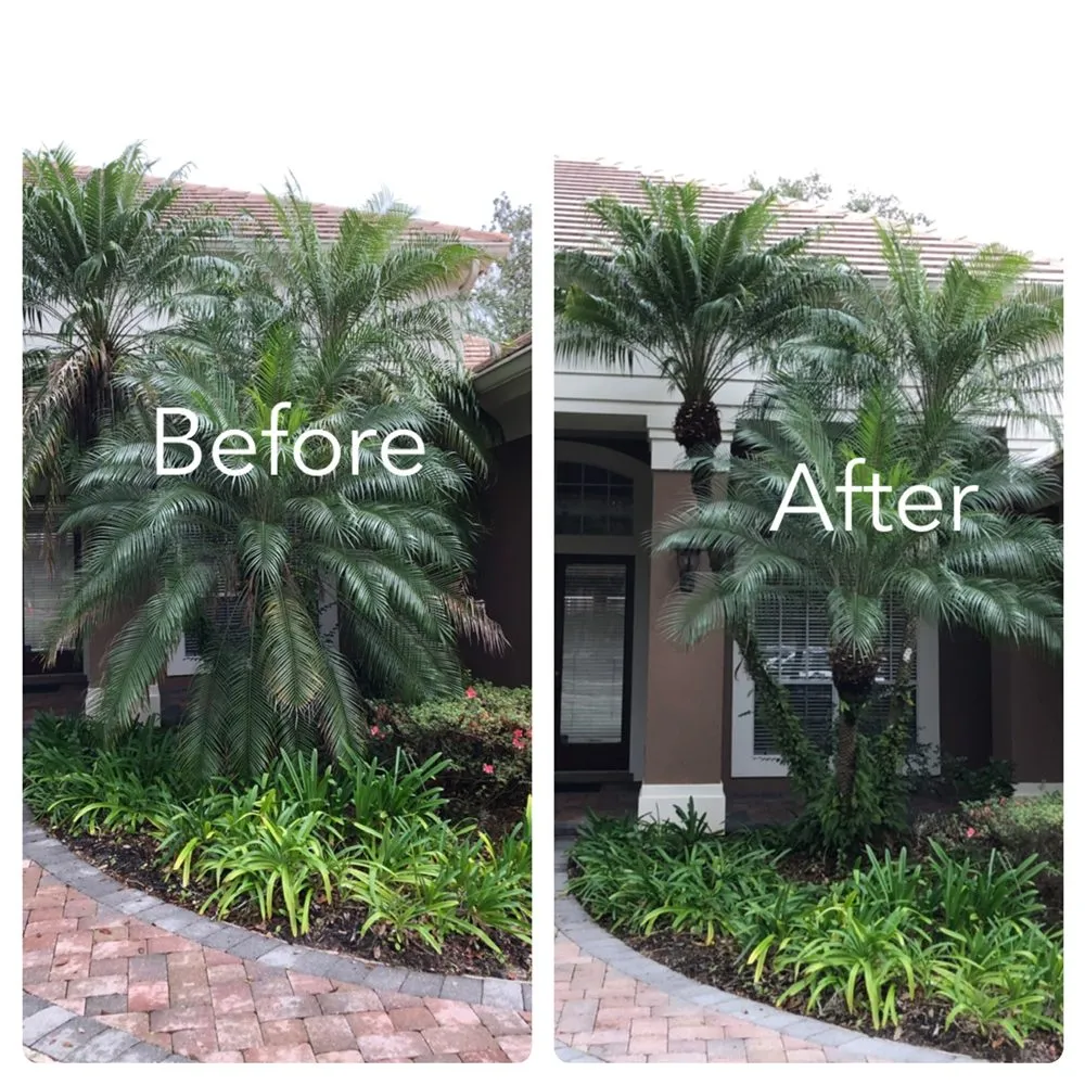 Trusted lawn mowing service in Orlando, FL - Clark Outdoor Services