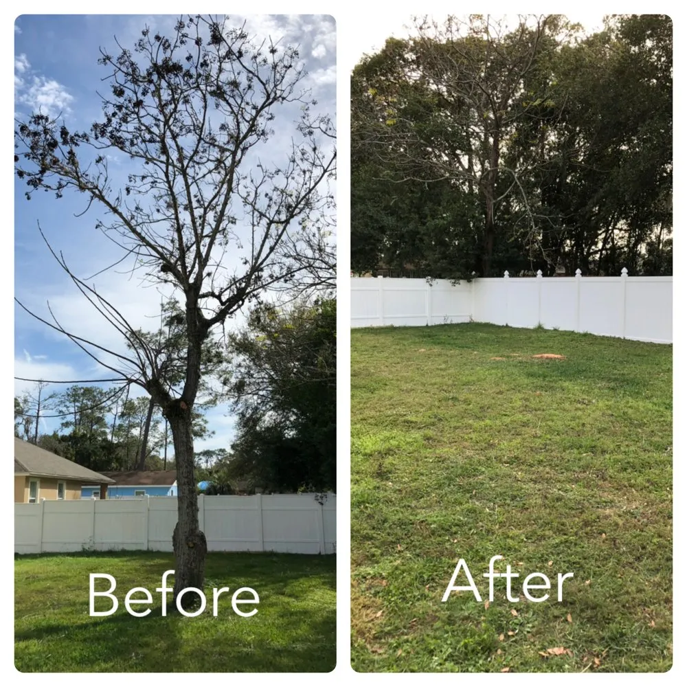 Custom landscape installation for outdoor upgrades across Orlando, FL - Clark Outdoor Services