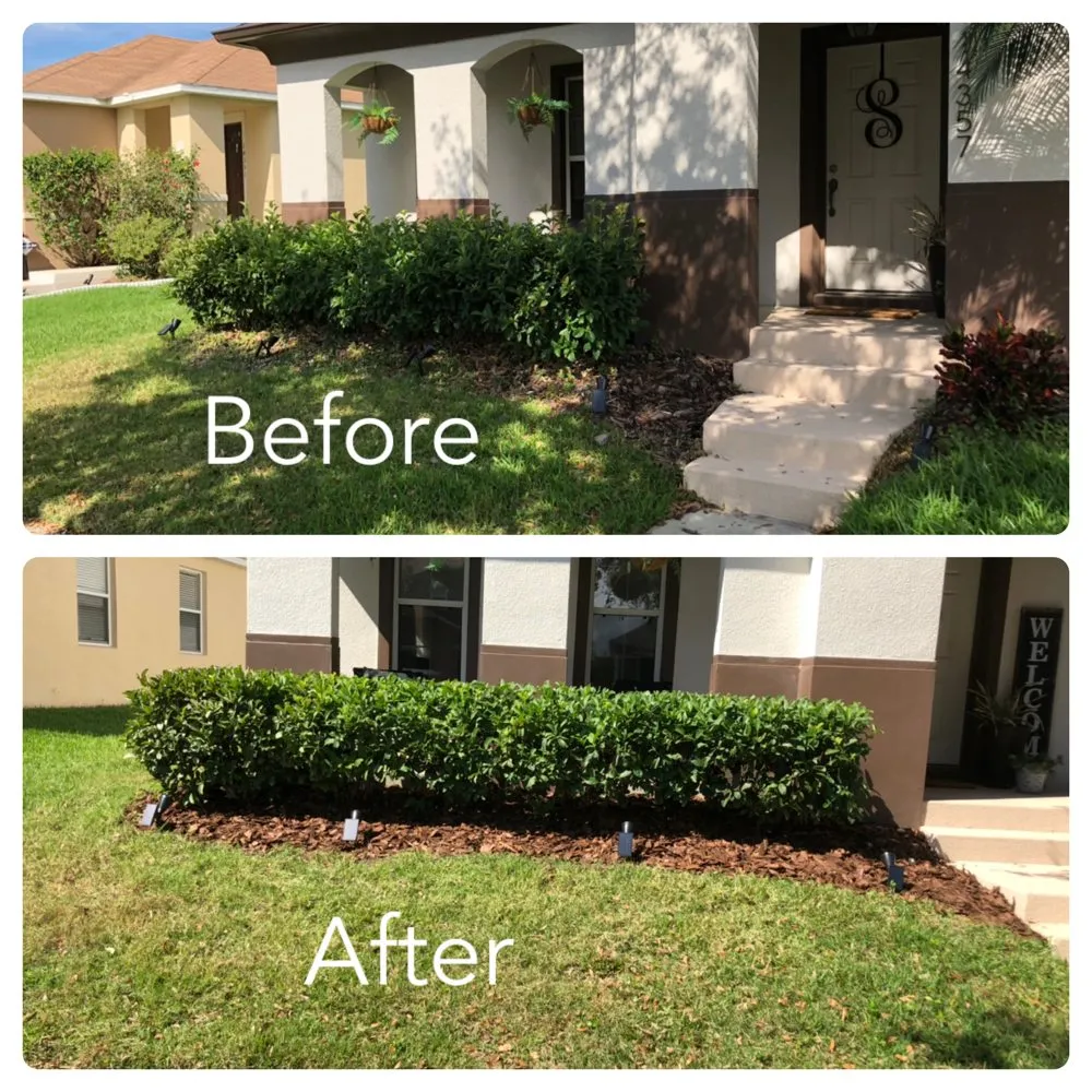Reliable yard maintenance for residential properties across Orlando, FL - Clark Outdoor Services