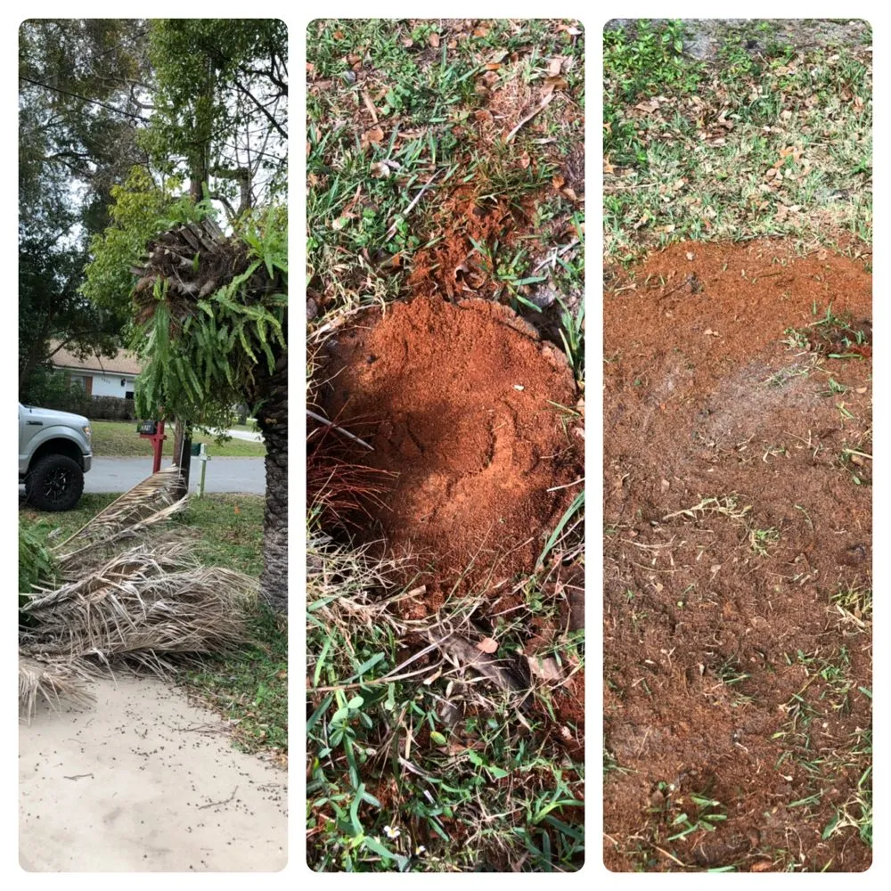 Custom lawn mowing service for beautiful yards across Orlando, FL - Clark Outdoor Services