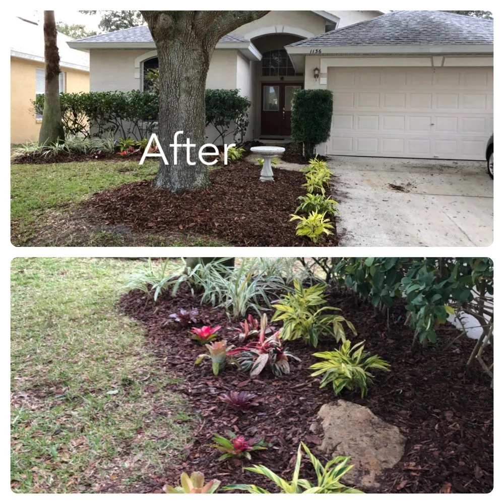 Top-rated landscape design in Orlando, FL - Clark Outdoor Services