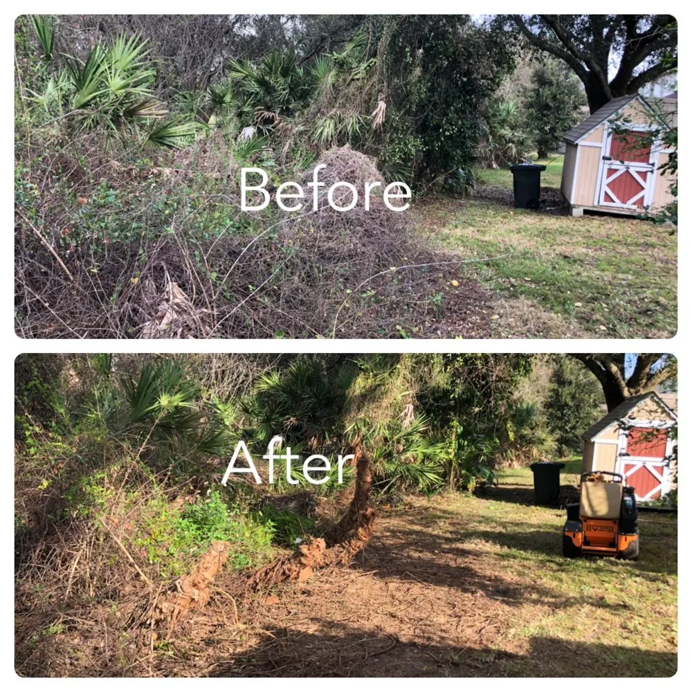 Local garden landscaping for year-round maintenance across Orlando, FL - Clark Outdoor Services