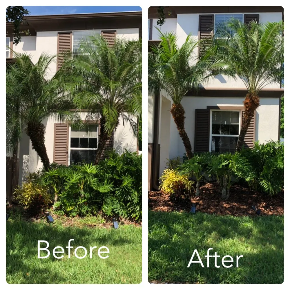Trusted yard cleanup service for beautiful yards in Orlando, FL by Clark Outdoor Services