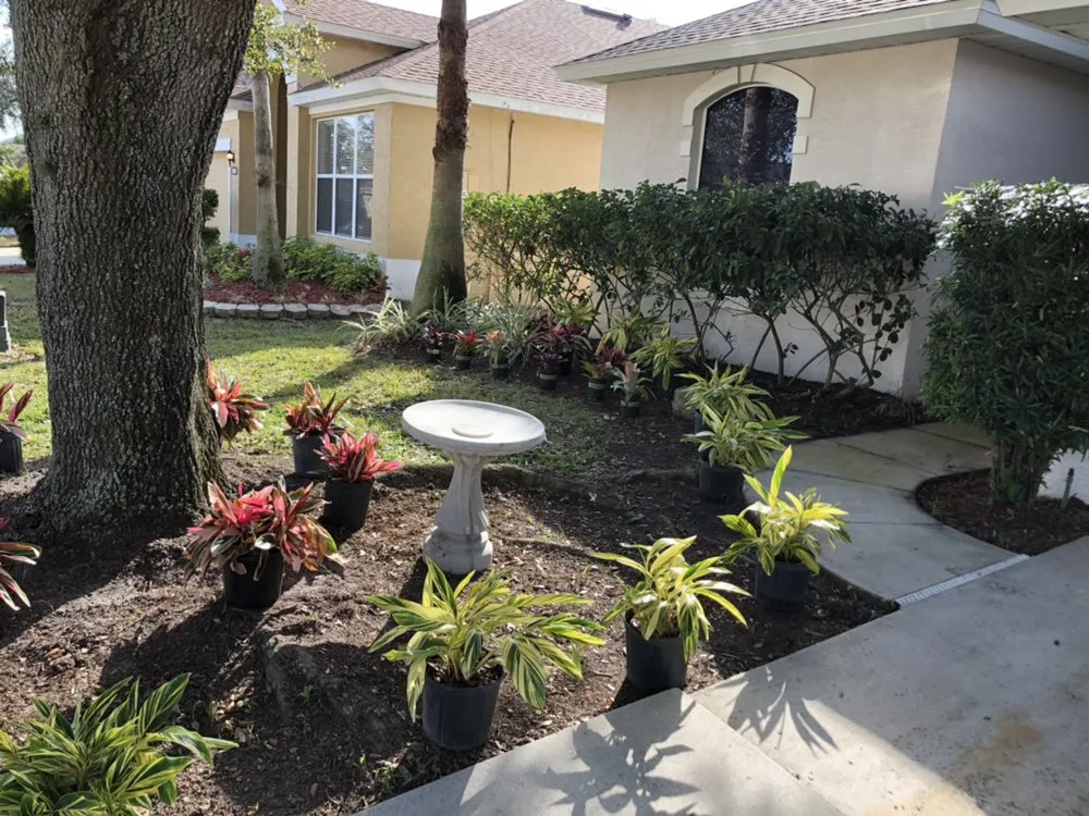 Reliable landscape design near you across Orlando, FL - Clark Outdoor Services