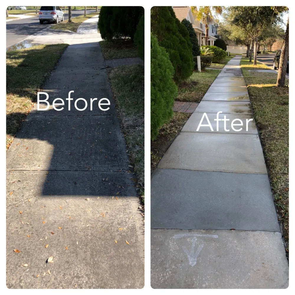 Expert landscaping services for beautiful yards across Orlando, FL - Clark Outdoor Services