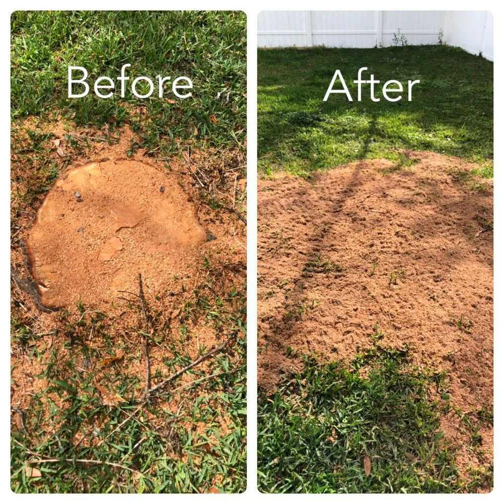 Custom lawn mowing service in Orlando, FL - Clark Outdoor Services