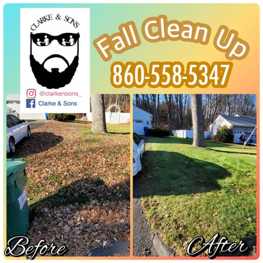 Local yard cleanup service experts serving Windsor, CT - Clarke & Sons