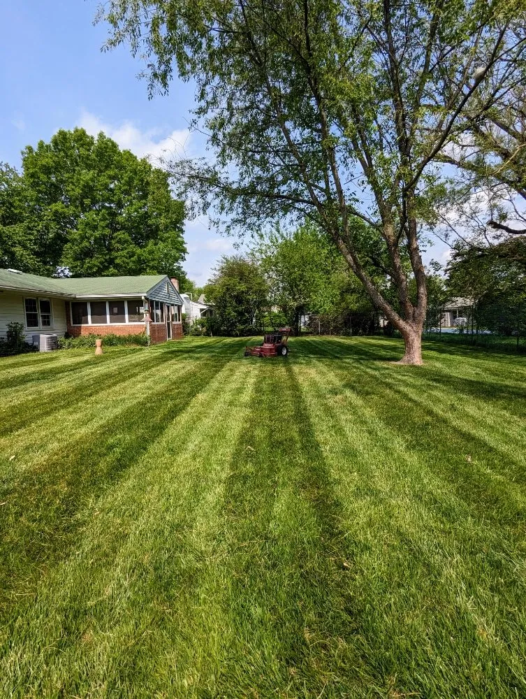 Local yard maintenance for beautiful yards in La Plata, MD by Clarke's Landscaping