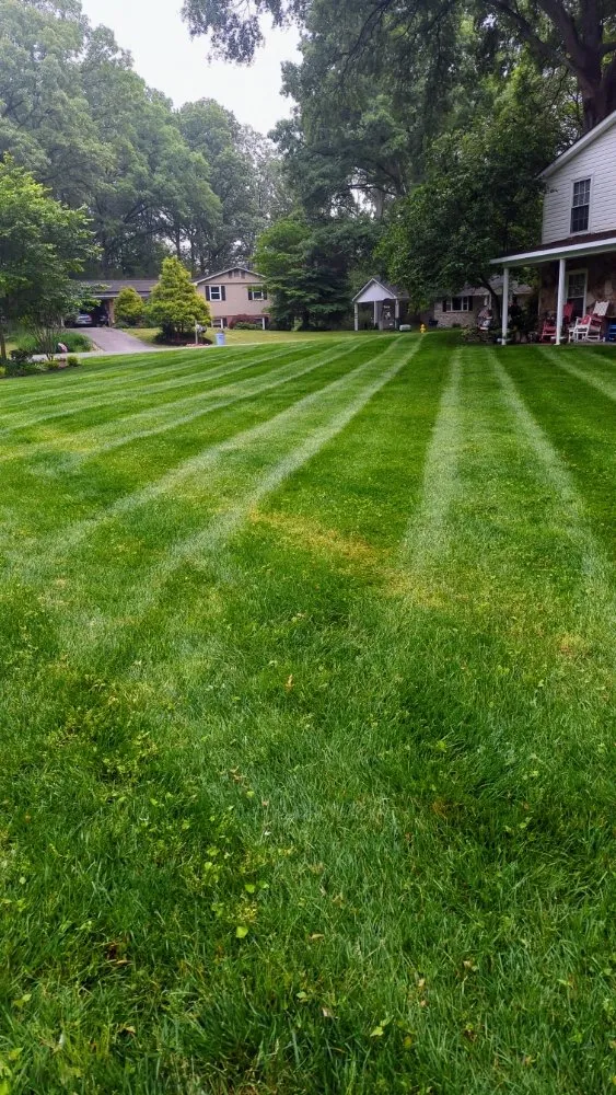 Local lawn care service in La Plata, MD by Clarke's Landscaping