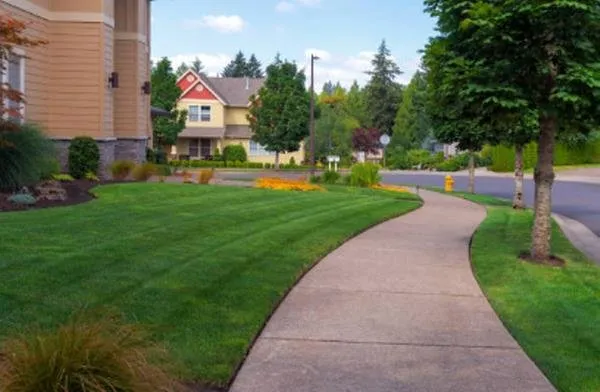 Affordable landscape installation experts serving Foxworth, MS - Clarks Contracting Services