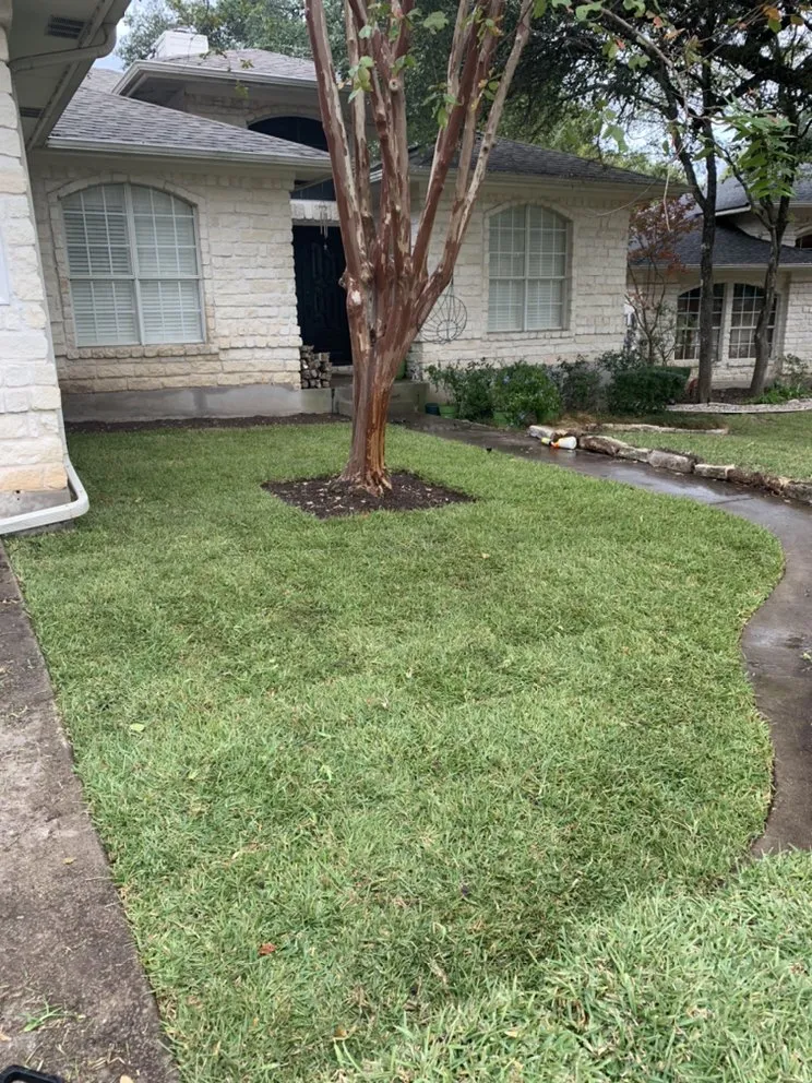 Expert lawn care service experts serving Austin, TX - Clark’s Family Landscaping and More