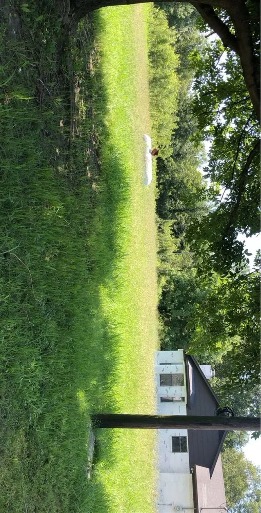 Professional yard maintenance in Mobile, AL - Clark’s Grow N’ Mow