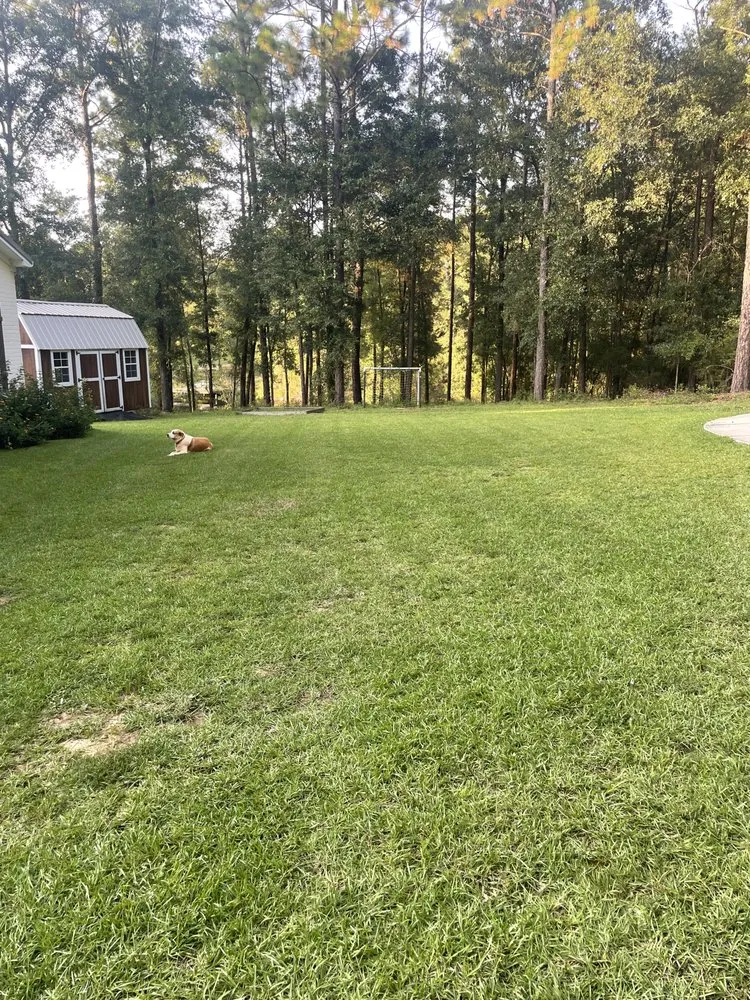 Local landscape design for residential properties in Mobile, AL by Clark’s Grow N’ Mow