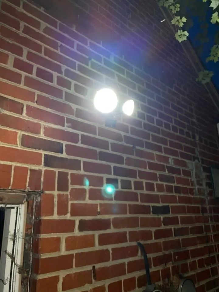 Reliable outdoor landscaping experts serving Richmond, VA - Clark’s Handyman Repair