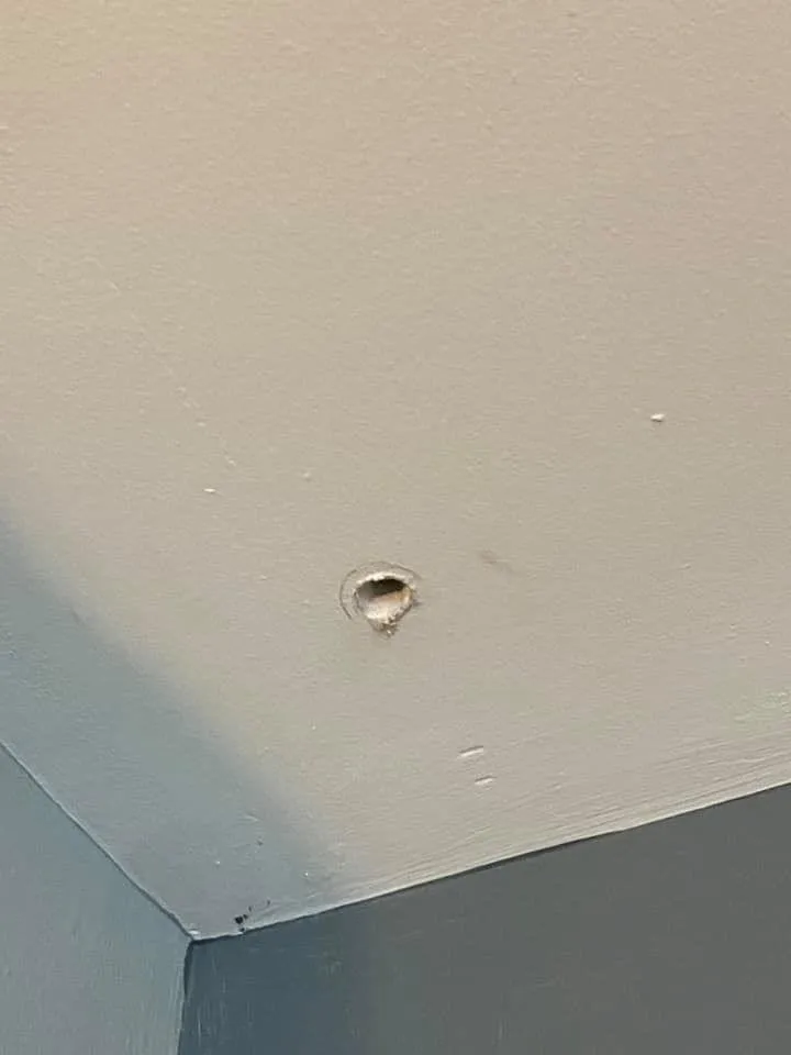 Affordable landscaping services in Richmond, VA - Clark’s Handyman Repair