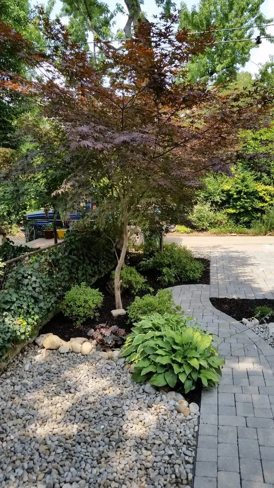 Reliable yard maintenance in Falls Church, VA - Clark's Landscaping
