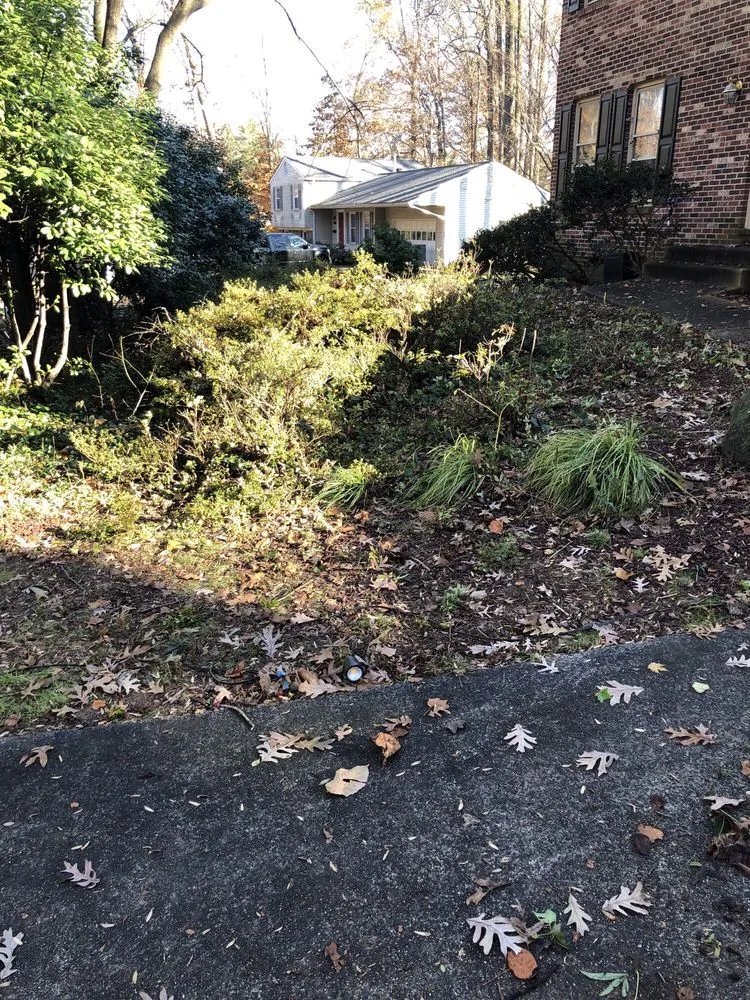 Top-rated garden landscaping for year-round maintenance in Falls Church, VA by Clark's Landscaping