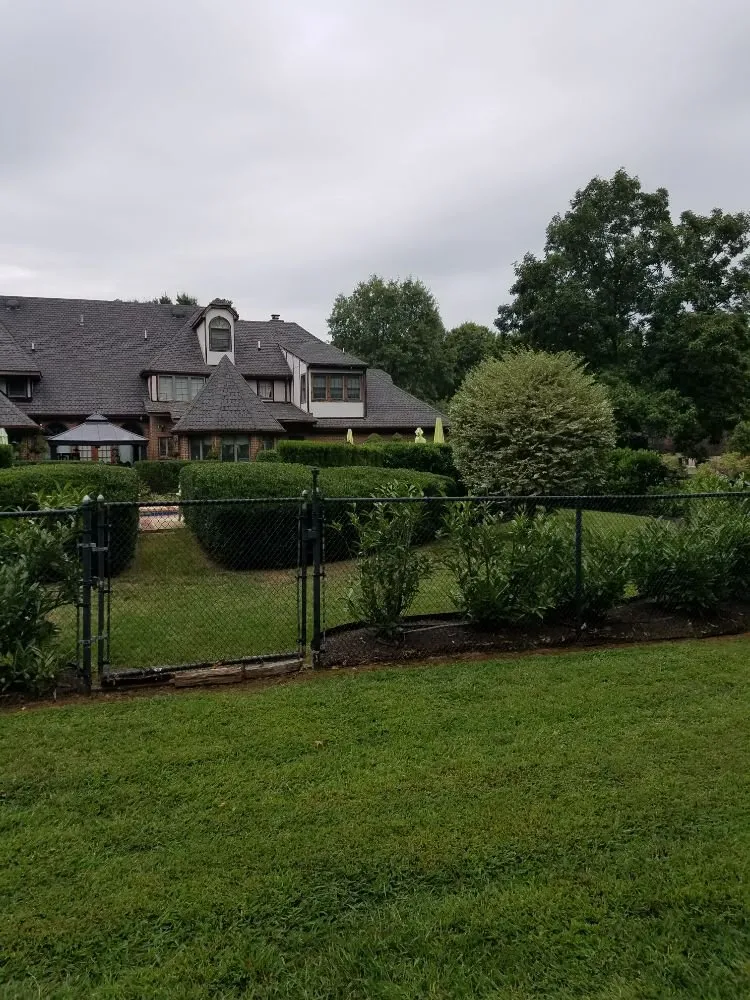 Affordable yard cleanup service for beautiful yards in Falls Church, VA by Clark's Landscaping