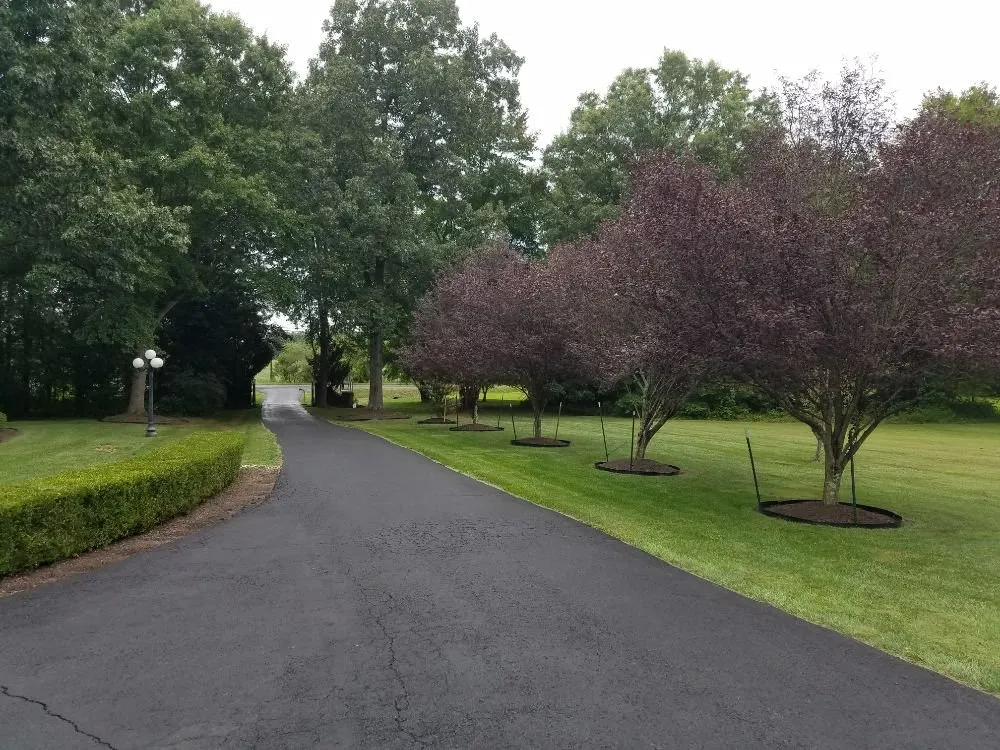 Professional yard maintenance in Falls Church, VA by Clark's Landscaping