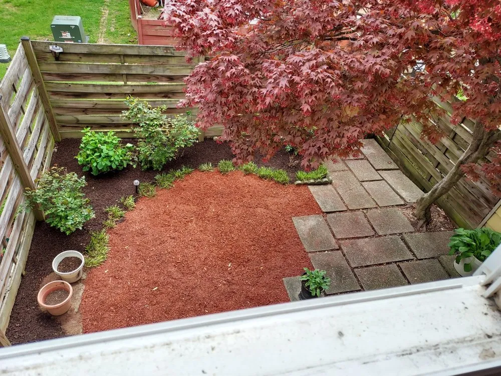 Professional landscape installation in Falls Church, VA by Clark's Landscaping