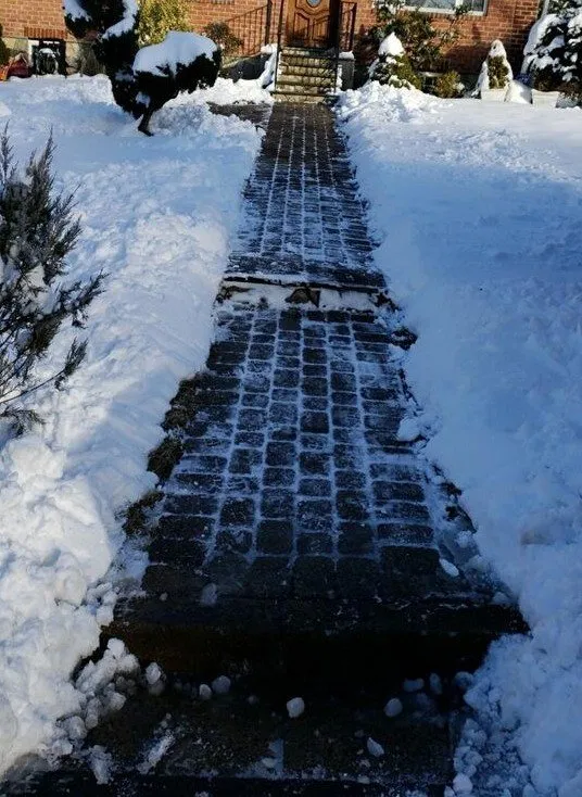 Local yard cleanup service in Falls Church, VA by Clark's Landscaping