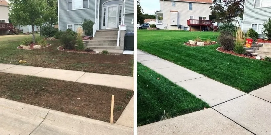 Trusted yard maintenance for homes across Harleyville, SC - Clark’s Landscaping