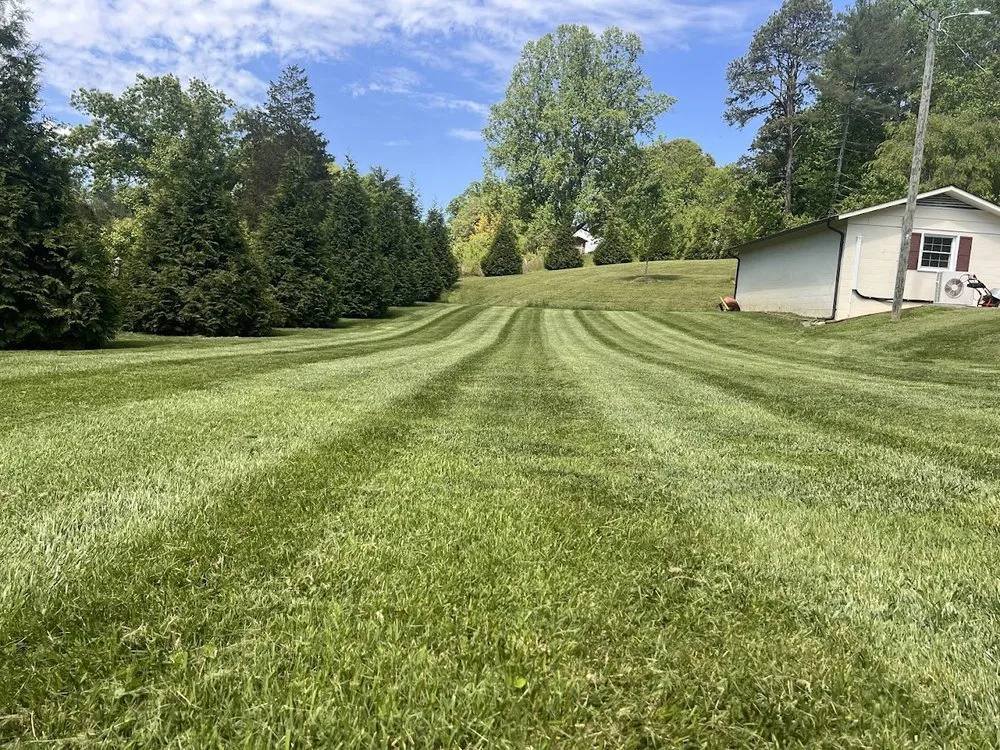 Reliable yard cleanup service in NC, NC - Clark’s Lawn Care