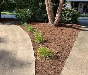 Trusted lawn care service in NC, NC - Clark’s Lawn Care