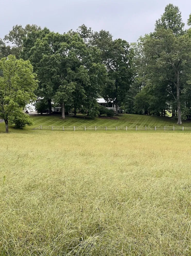 Professional yard maintenance in NC, NC - Clark’s Lawn Care