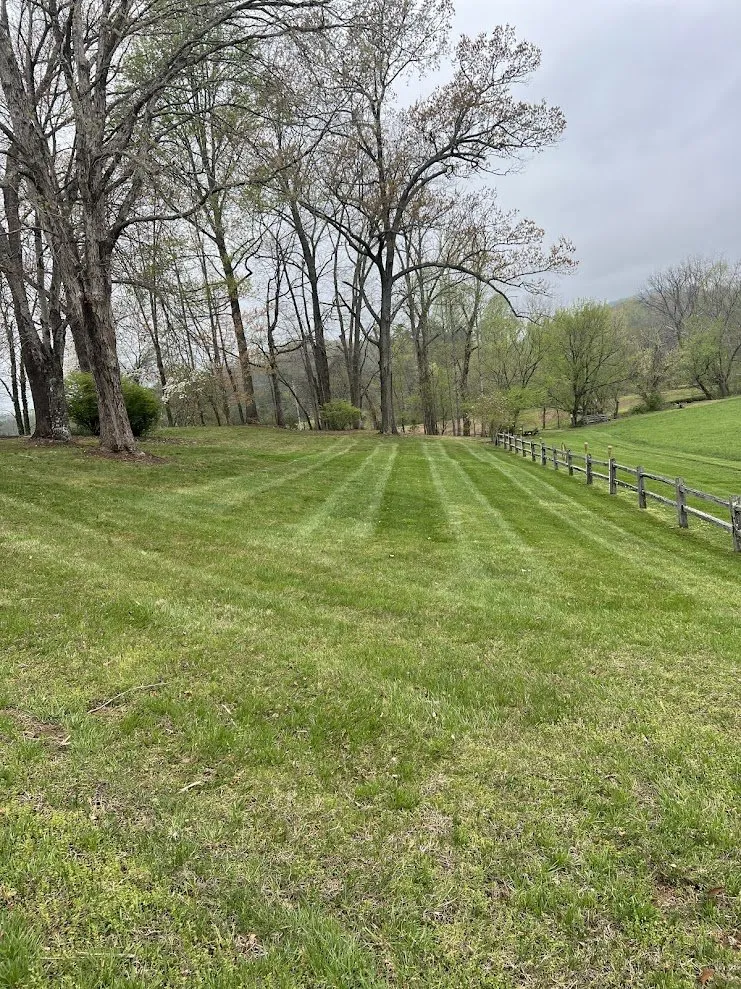 Expert landscaping services experts serving NC, NC - Clark’s Lawn Care