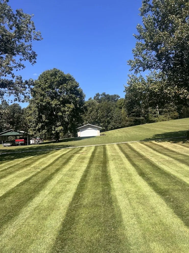 Expert yard cleanup service for beautiful yards in NC, NC by Clark’s Lawn Care