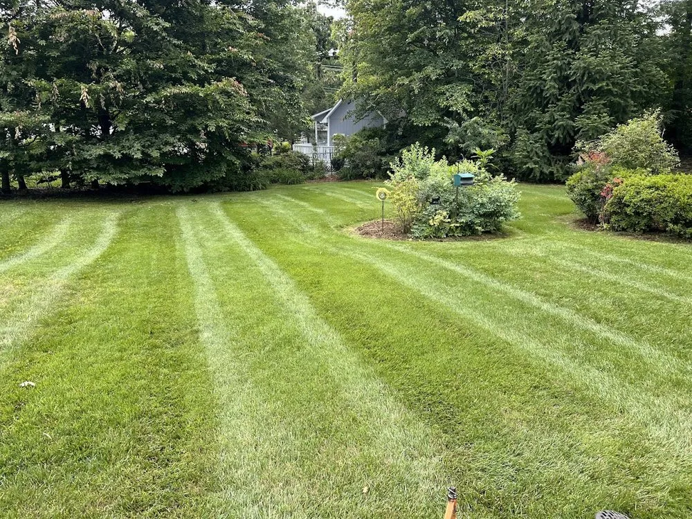 Top-rated outdoor landscaping in NC, NC - Clark’s Lawn Care