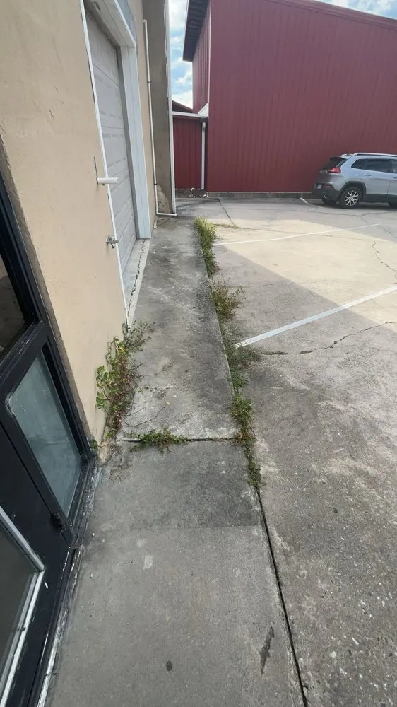 Expert landscaping services near you in Asheboro, NC by Clarks Lawn Care Services