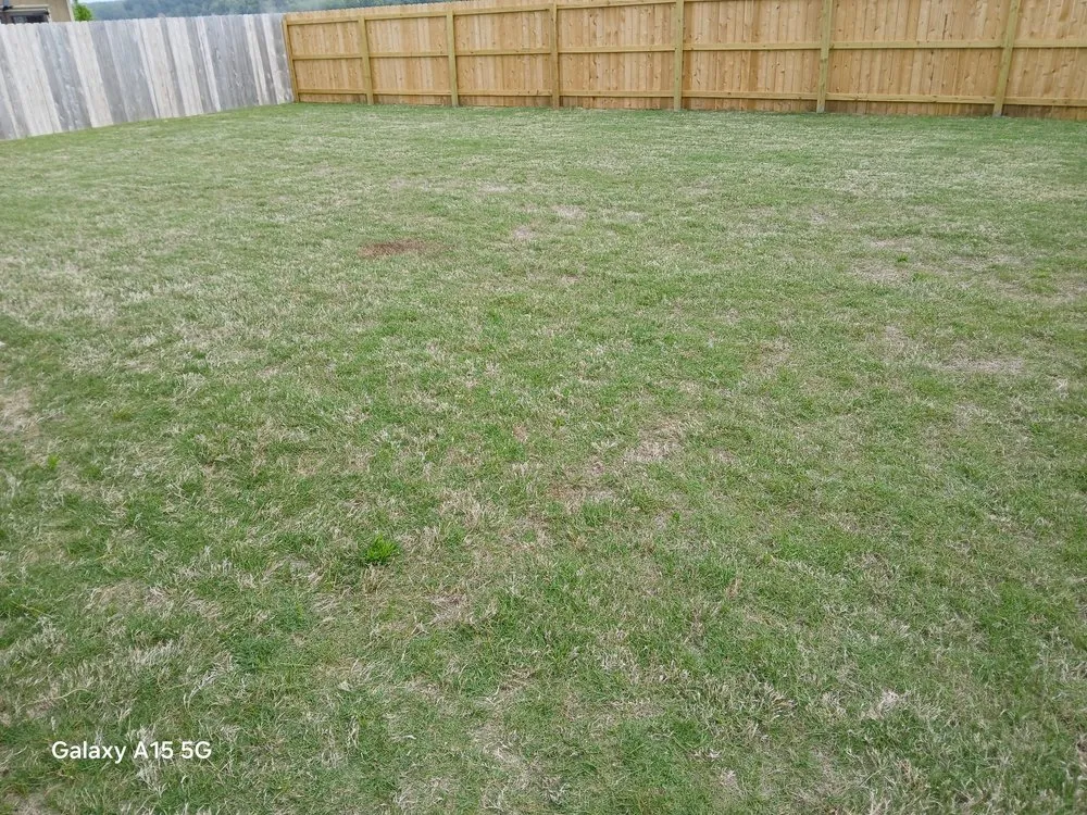 Top-rated yard maintenance in Walls, MS - Clark's Lawn Service