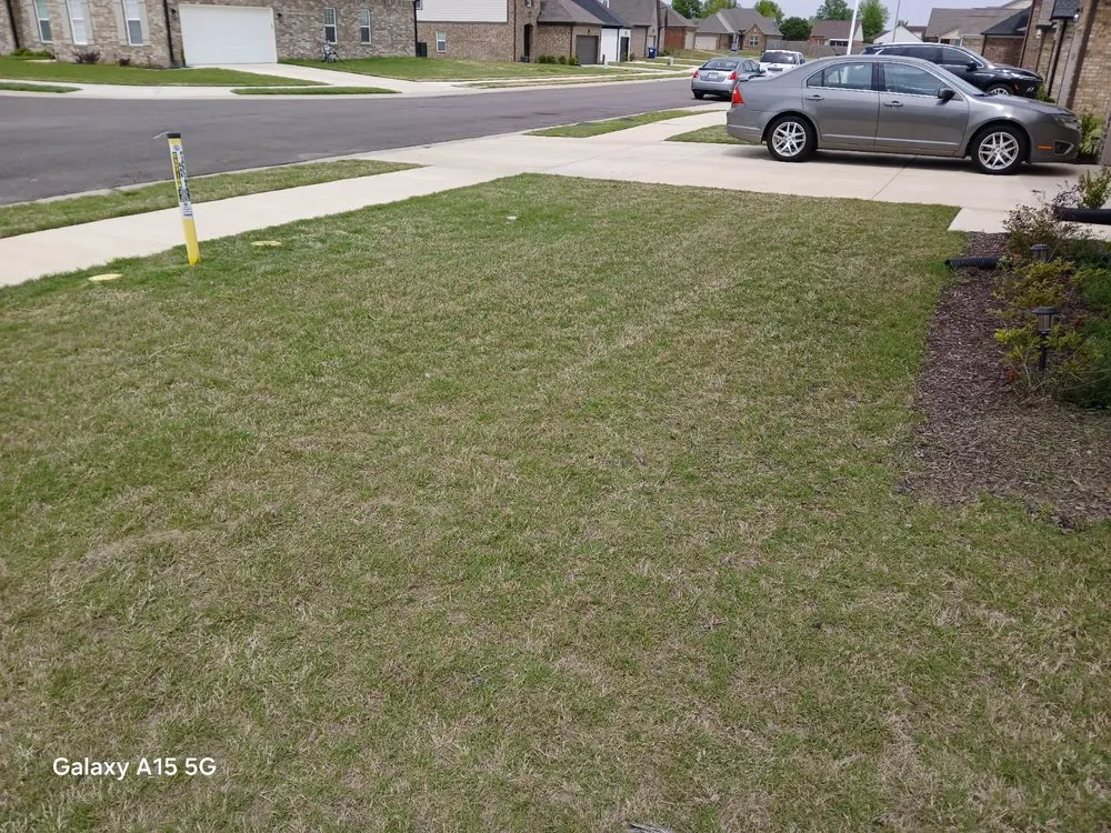 Top-rated landscaping services experts serving Walls, MS - Clark's Lawn Service