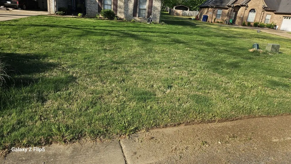Trusted landscaping services in Walls, MS by Clark's Lawn Service