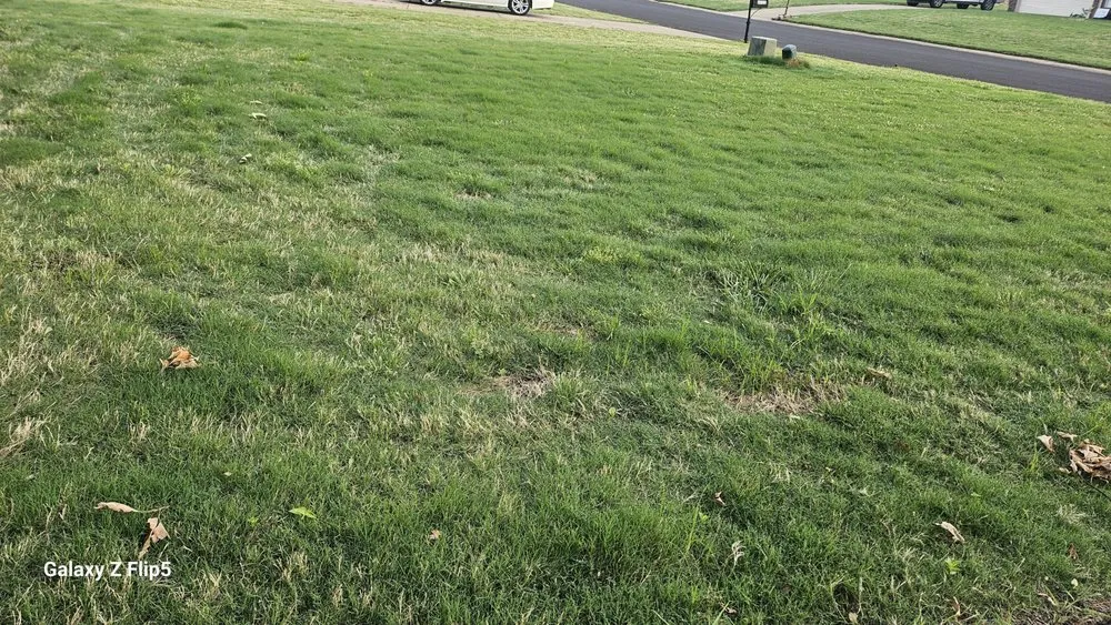 Reliable landscape design for residential properties across Walls, MS - Clark's Lawn Service